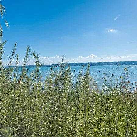 Apartment Tiny Haus 2 - Feige