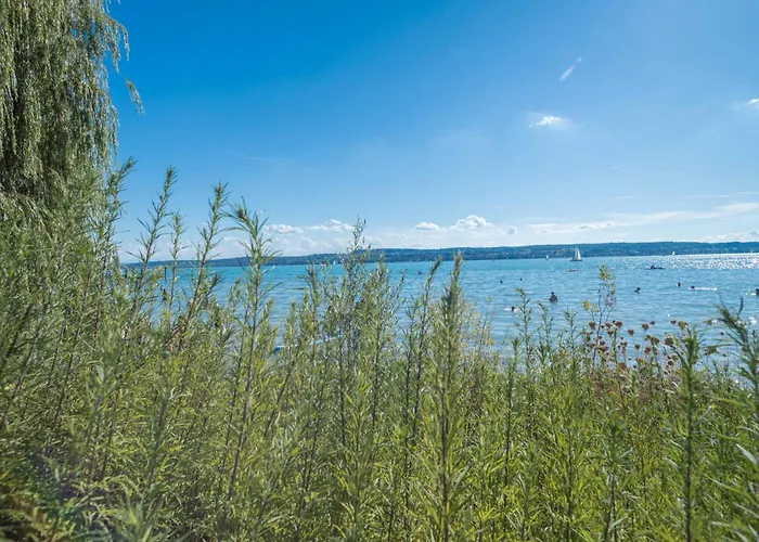 Lägenhet Tiny Haus 2 - Feige